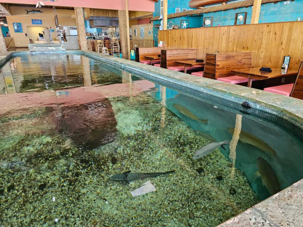Large indoor aquarium with fish near tables