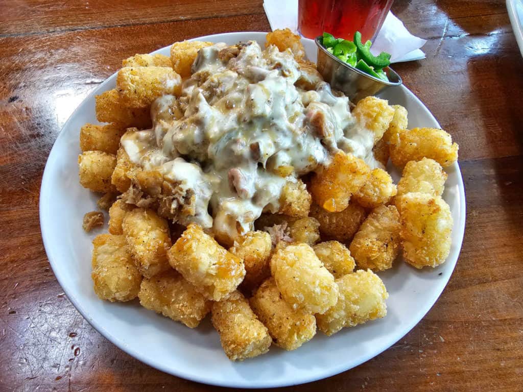 Tater tots covered in creamy pulled pork on a white plate 