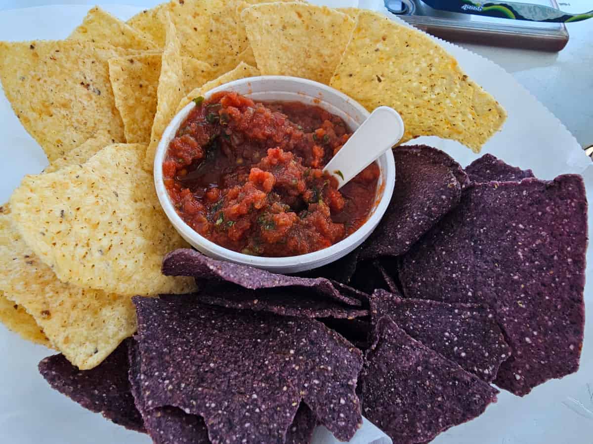 Chips and salad with corn tortilla chips and blue tortilla chips surrounding a bowl of salsa