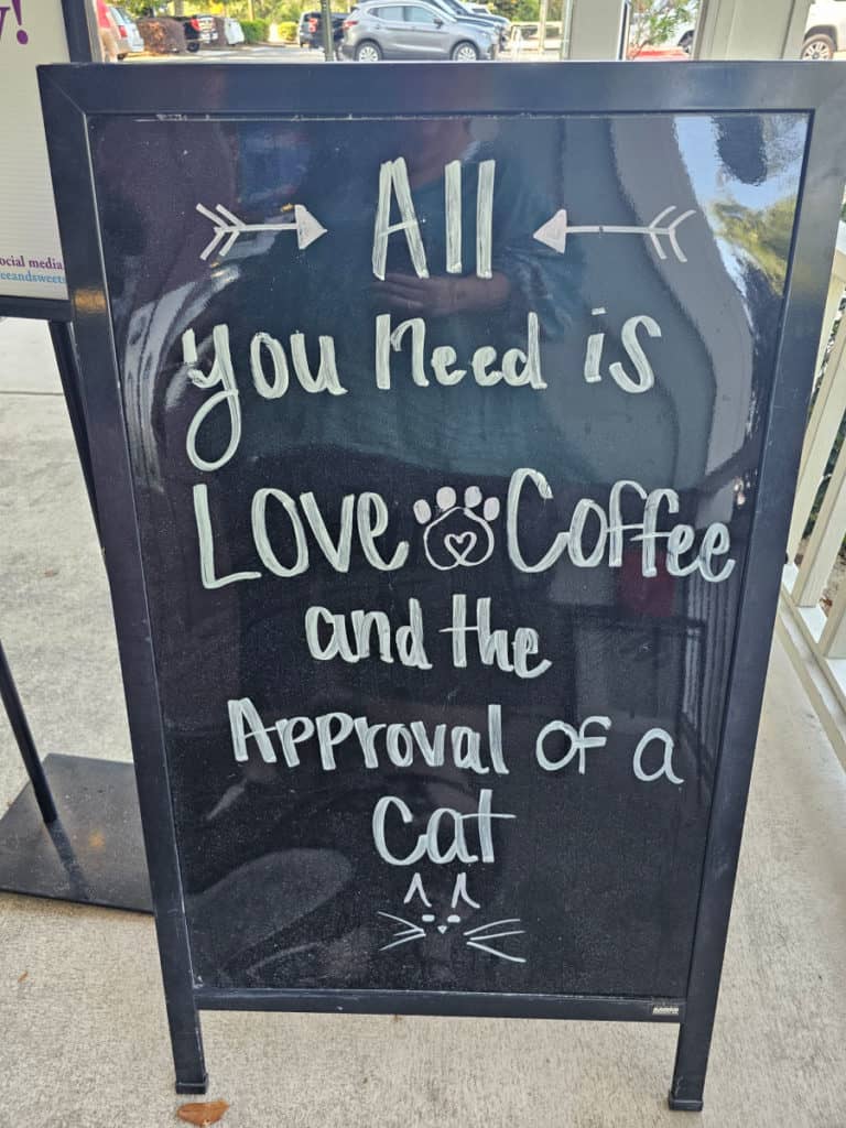 All you need is love, coffee, and the approval of a cat sign at BuzzCatz