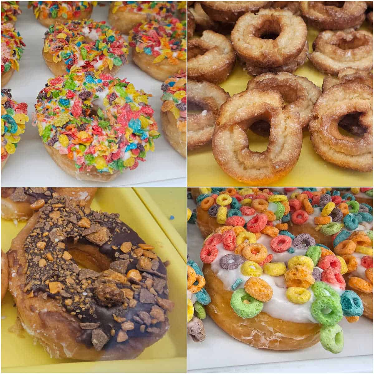 Best Donuts Gulf Journeys Al Beach, - in and Coast Orange Gulf Shores