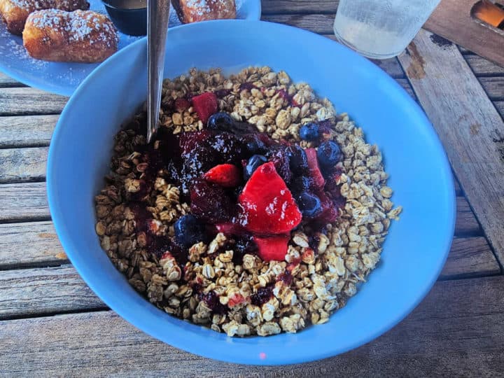yogurt and granola in a blue bowl with fruit on top