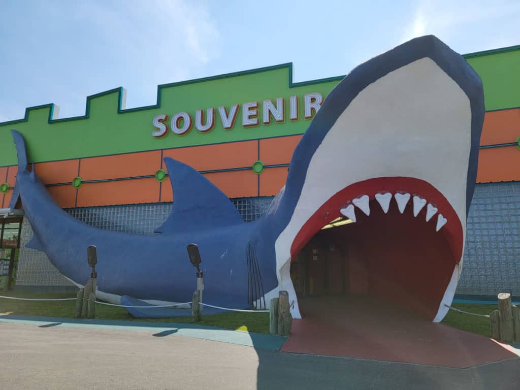 Large shark entrance with walkway through the mouth at Souvenir City Gulf Shores