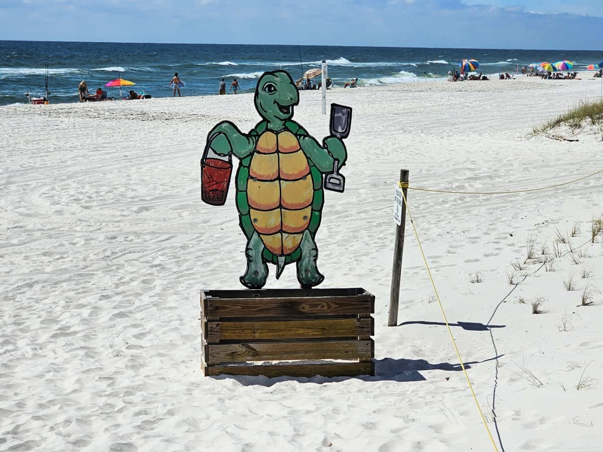 turtle cutout holding a pail and shovel above a wooden box for beach toys on the sand with the beach in the background.