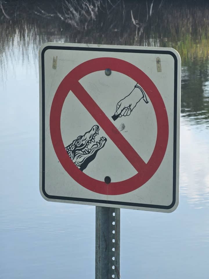 Alligator warning sign with a hand reaching towards a gator