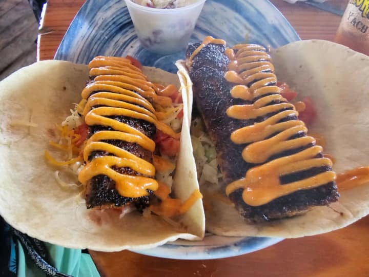 Grilled mahi tacos on a plate with drizzle