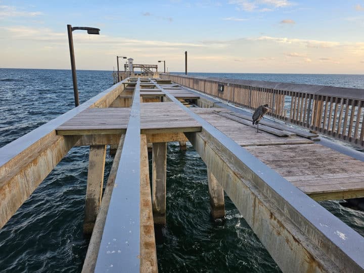 Hurricane sally damage on Gulf State Park pier with wood and rails missing