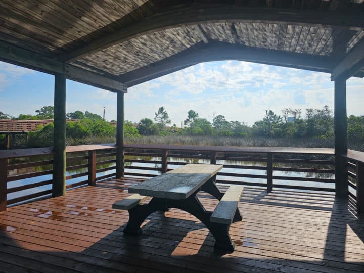 picnic table under a pavilion with water views