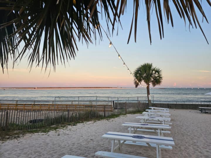 Sunset over a palm tree and white picnic tables at The Gulf