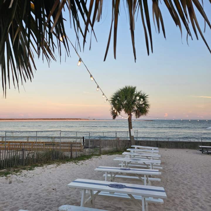 White picnic tables with a view of sunset and a palm tree at The Gulf