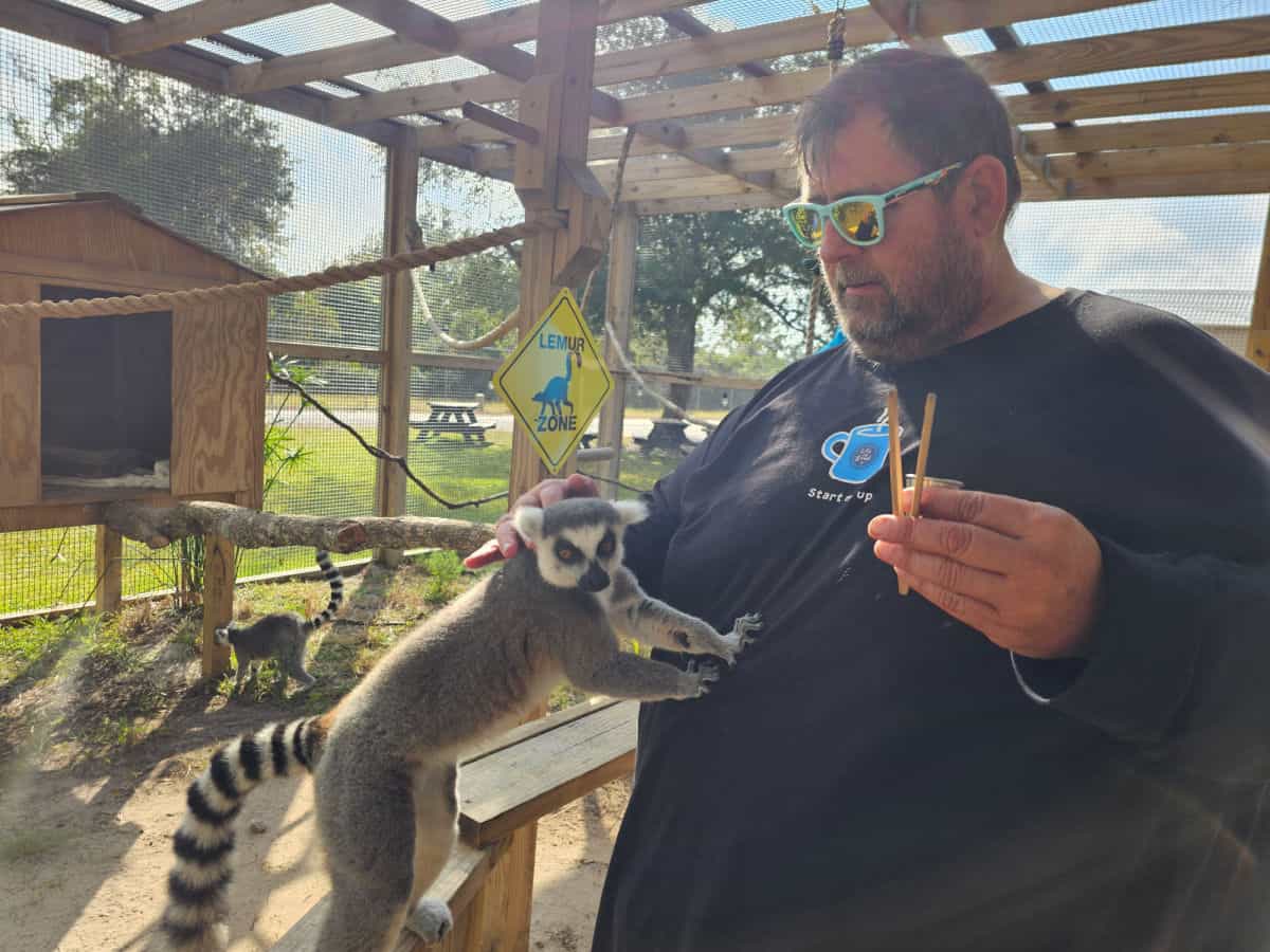 Lemur crawling on John while he holds chopsticks and a cup