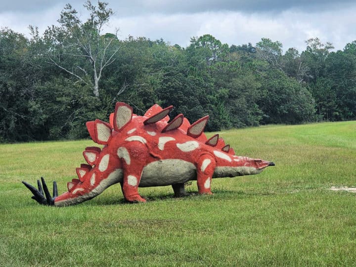 red and white stegosaurus dinosaur replica