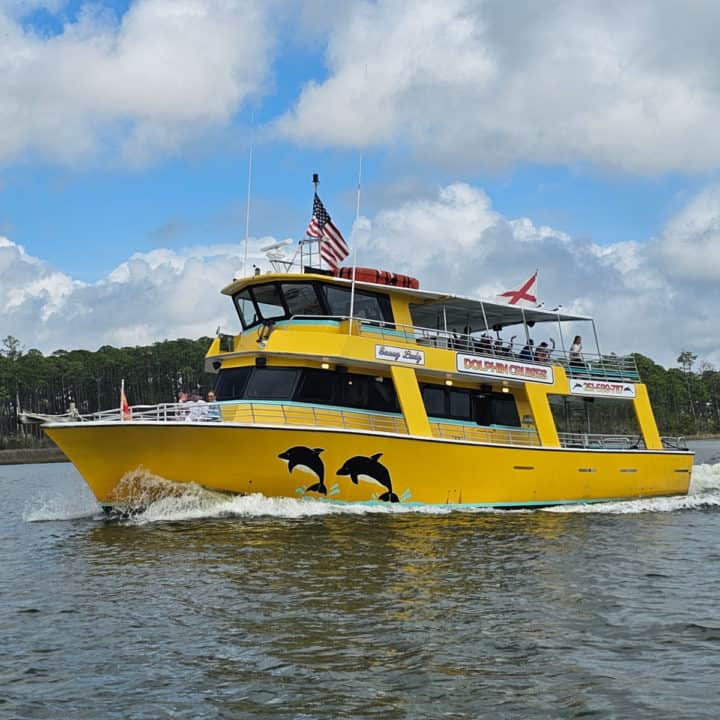 yellow Sunny Lady Dolphin cruise boat