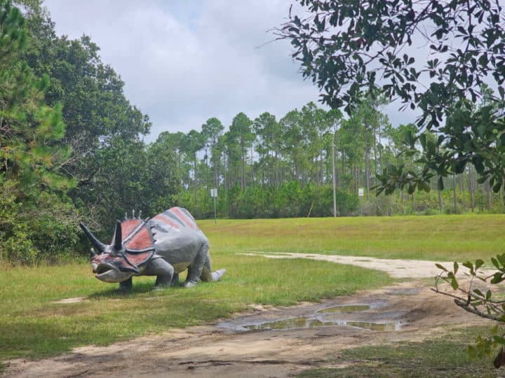 Triceratops dinosaur model next to a dirt road surrounded by trees
