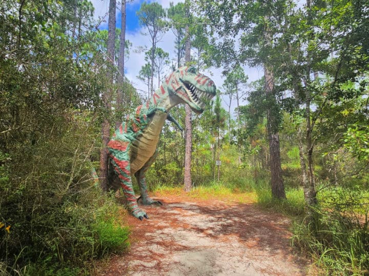 t-rex dinosaur model in the woods 