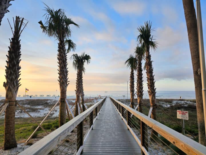 wooden boardwalk with palm trees leading to the beach
