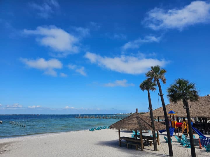 beach views with tall palm trees, and play area for kids