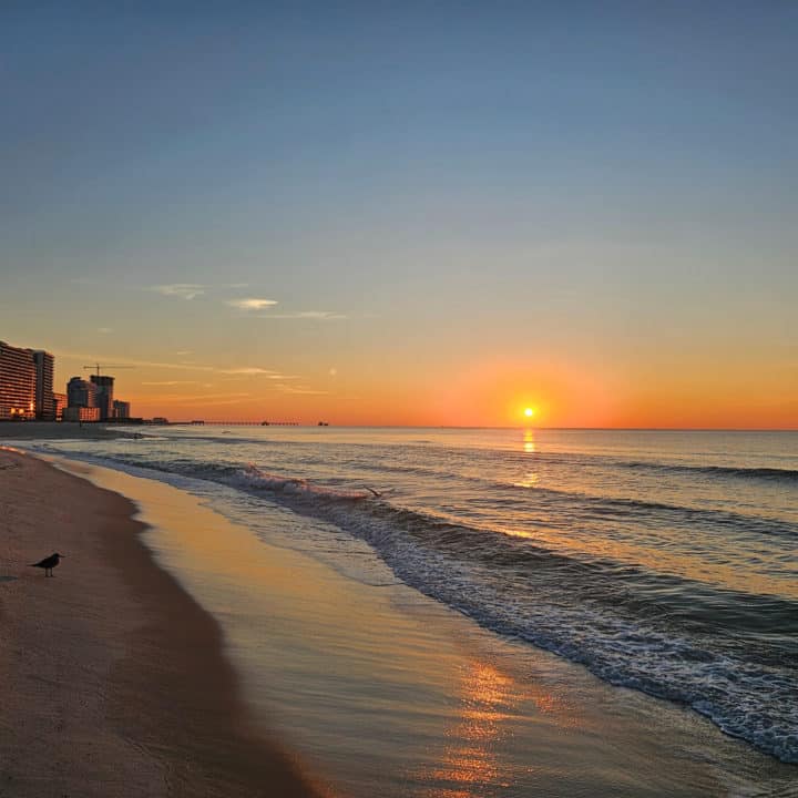 Sunrise over the water with buildings along the beach and a seagull