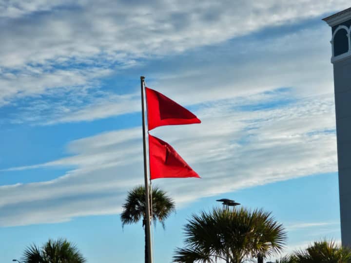 Double red beach warning flags with palm trees in the background