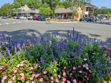 Things to do in Fairhope, AL - Gulf Coast Journeys