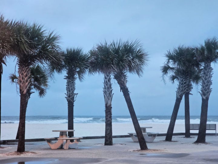 Palm trees and picnic tables with stormy seas in the background