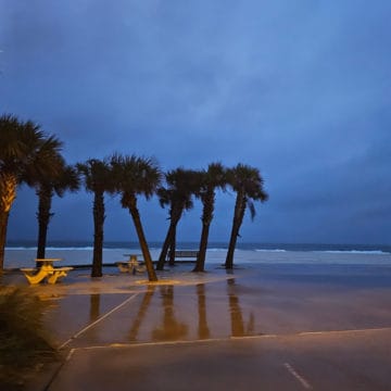 rainy weather with dark clouds over palm trees