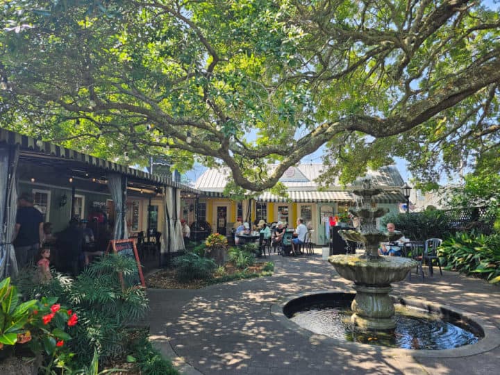 large tree over a courtyard with people dining outside and a fountain