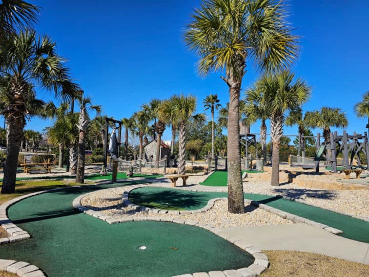 mini golf course with palm trees