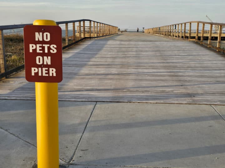 No pets on pier sign leading onto the pier