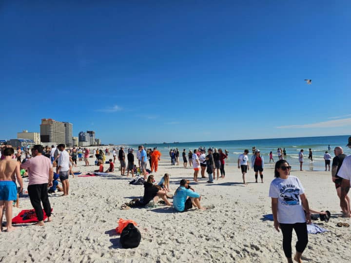 sunny day at the beach with people in and out of the water. 