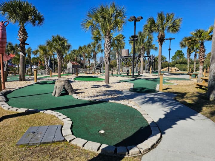 mini golf course with palm trees