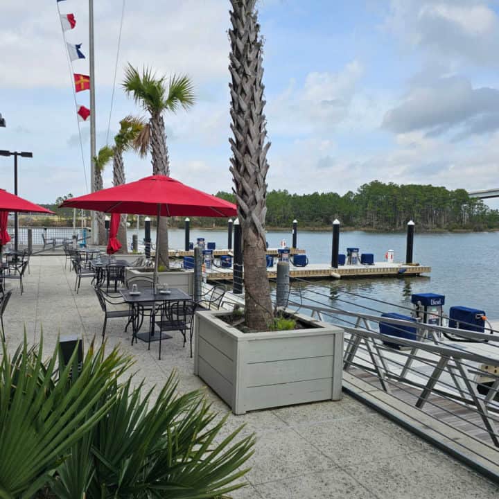 Outdoor tables with red umbrellas next to palm trees. Wharf to the right on the water with a bridge in the background and trees