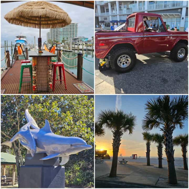 Collage of things to do in March in Gulf Shores and Orange Beach including hammock time tiki tours, a restored truck, dolphin statue, and sunrise between palm trees
