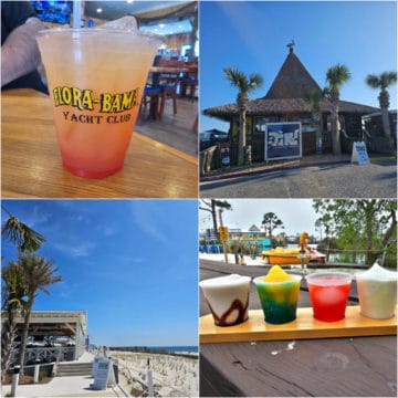 collage of best bars in gulf shores and orange beach with Flora Bama Yacht Club drink, Tiki bar, Coastal beach views, and a flight of daiquiris