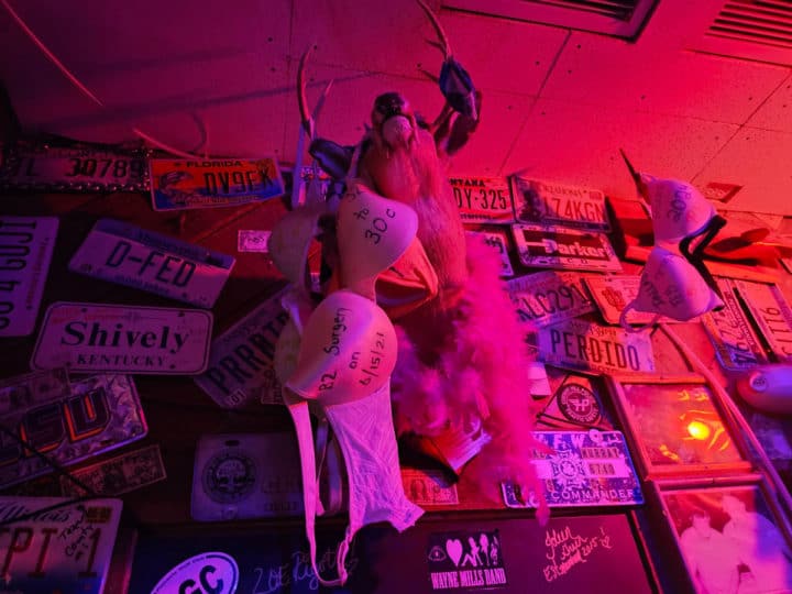 Bras hanging from a deer head with license plates on the wall