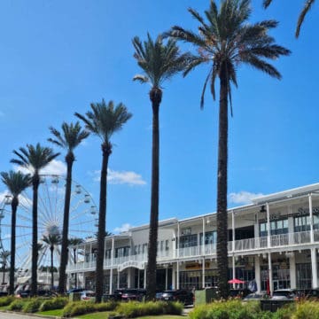 Row of palm trees in front of a two story shopping center with a ferris wheel on the left side