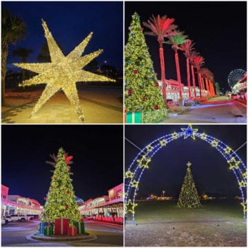 Collage of four photos with a lighted star, palm trees lit near a large holiday tree, holiday tree lit between two roads, a blue and white arch of lights over a Christmas tree