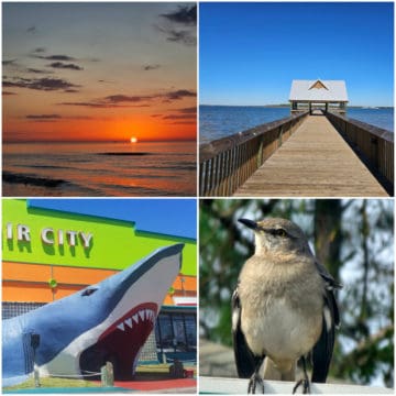 Collage of four photos with sunrise over the water, a pier over the water, a large shark statue for souvenir city, and a bird
