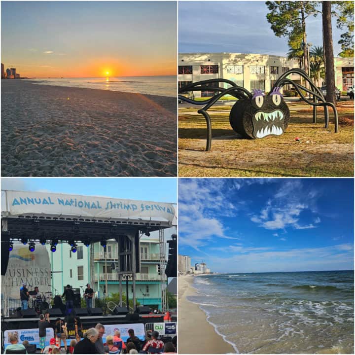 Collage of 4 photos with sunrise over the Gulf, A spider haybale, Annual National Shrimp Festival Stage, and Beach