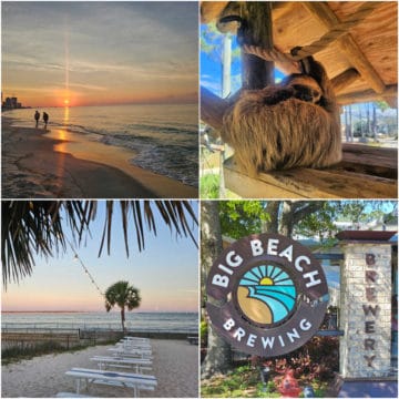 Collage of 4 photos with sunrise over the Gulf of Mexico, a sloth, picnic tables and a palm tree with a view of the Gulf, and Big Beach Brewing