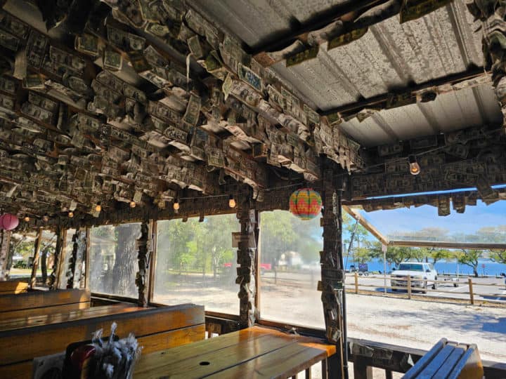 Dollar bills stapled to the rafters and the ceiling above open windows looking out towards the parking lot and water. 