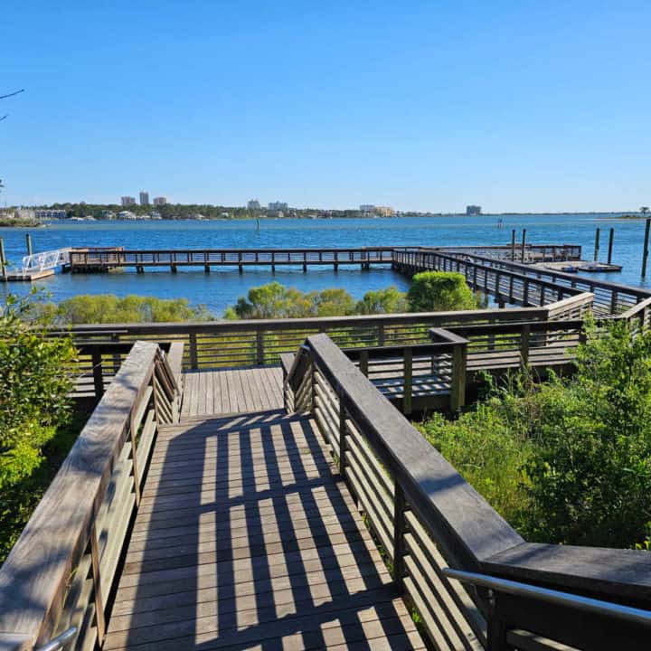 Wooden boardwalk path leading through green bushes and trees to a pier over water. 