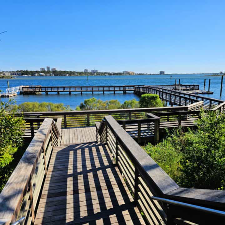 Wooded walkway leading down to a dock on blue water with an island in the background. 