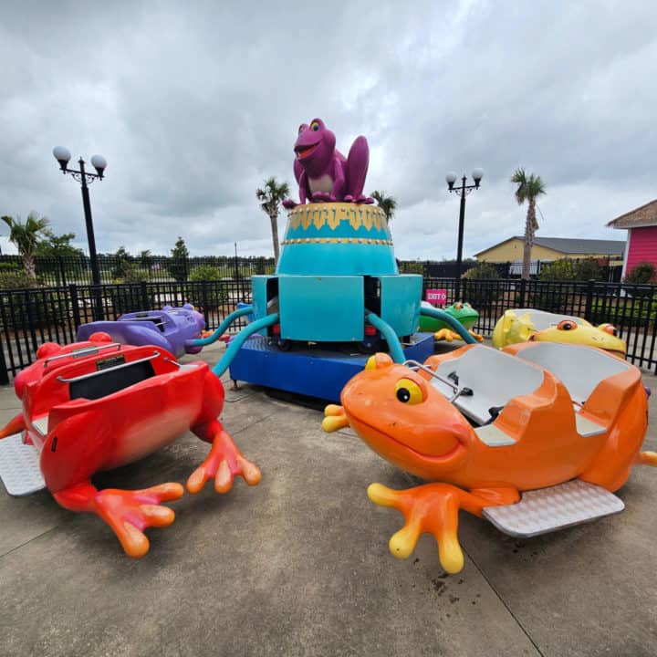 Colorful frog ride 