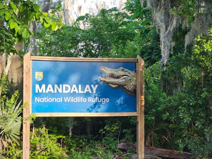 Mandalay National Wildlife Refuge sign with alligator on it surrounded by trees