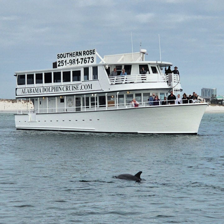 Southern Rose printed on a large sign on a white double decker boat with people looking out at dolphins in the water