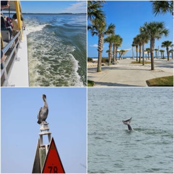Collage of photos with the side of a boat in the water, palm trees and walkway at the beach, a pelican on a mile marker, and a dolphin tail
