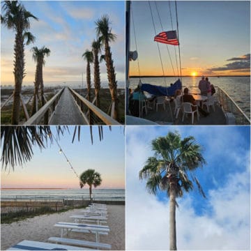 Collage of palm trees, sunset sail, and picnic tables on the beach with palm tree and view of the Gulf of Mexico