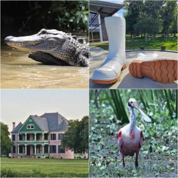 Collage of things to do in Houma Louisiana with alligator, white boot sculpture, pink and green plantation house, and roseate spoonbill