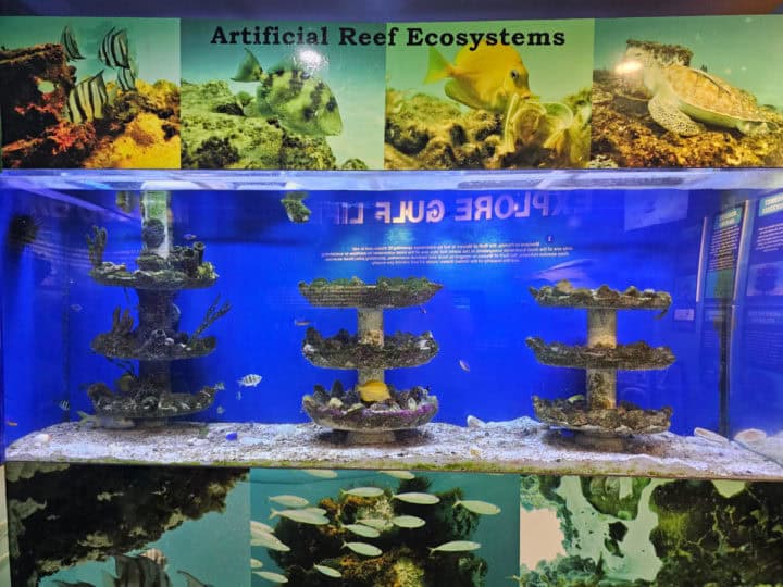 artificial reef display with fish in an aquarium